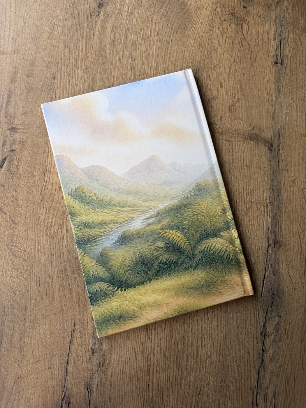 Книга в руках